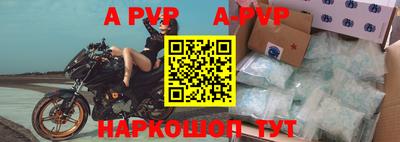стафф Гатчина