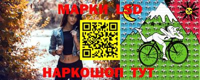 стафф Гатчина