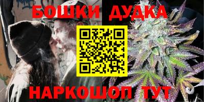 стафф Гатчина