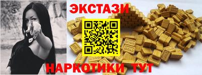 стафф Гатчина
