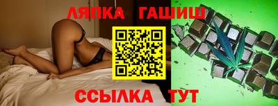стафф Гатчина