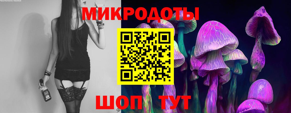 Нижнеудинск  Галлюциногенные грибы Psilocybine cubensis  Вход с VPN  Галлюциногенные грибы мухоморы 