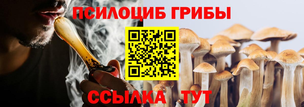 Псилоцибиновые грибы Cubensis Нижнеудинск